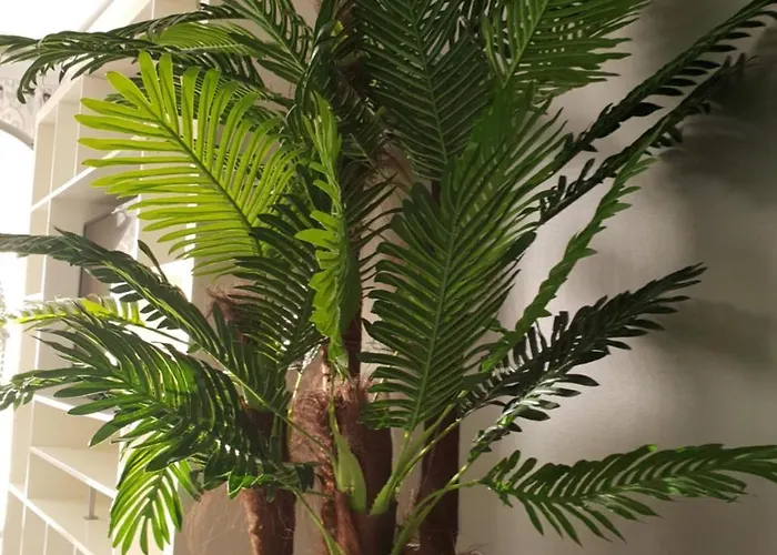 فندق Prestige Holidays Alojamentos نازاريه